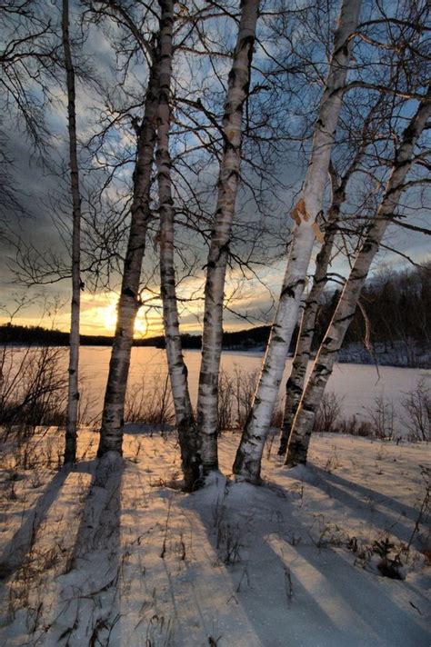 sunrise | Winter scenery, Winter landscape, Nature pictures