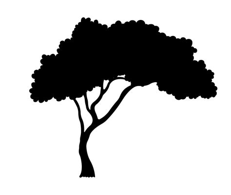 African Tree Silhouette, branch And Leaves Illustration. in 2023 | Tree ...