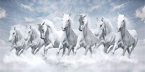 7 Horse Full 1, running seven horses HD wallpaper | Pxfuel