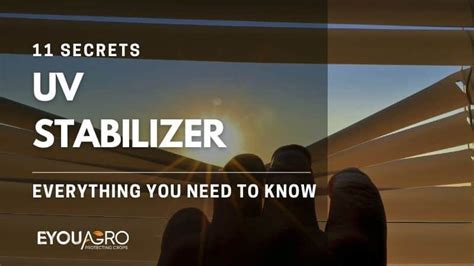 UV Stabilizer 101: Everything You Need to Know ｜ EyouAgro