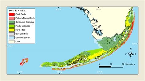 Goliath Grouper Habitat