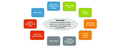 | Definition of soil health with representation of soil functions ...