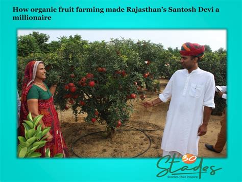 Organic Fruit Farming