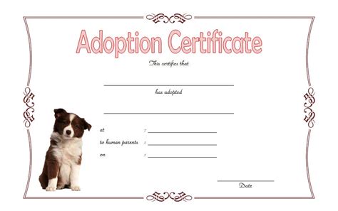 Pet Adoption Certificate Template 5