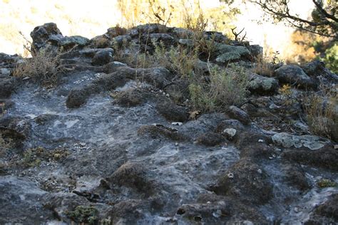 Walnut Canyon National Monument, Cliff Dwellings and Ruins… | Flickr