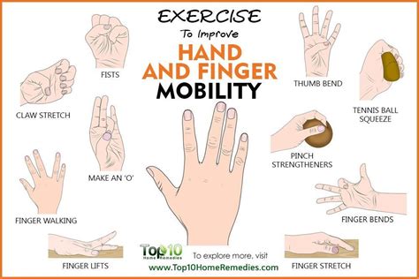 exercises to improve hand and finger mobility | Arthritis exercises ...