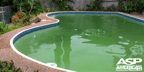 Green Pool Problems: How to Clean a Green Pool Fast