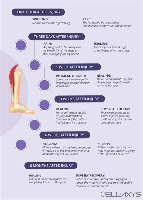 How To Speed Up Muscle Strain Recovery / Ankle Sprain Faster Recovery ...