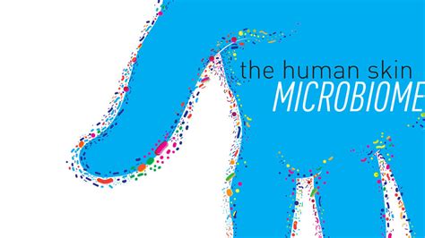 Study: The human skin microbiome is largely stable over time