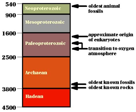 Cambrian Time Period Timeline