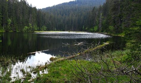 Lake Laka - Šumava National Park | Alper