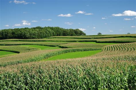 What Is Contour Farming? - WorldAtlas