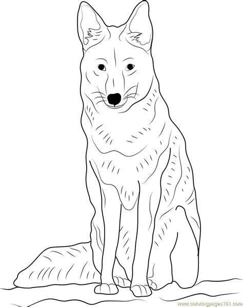 Howling Coyote Drawing at GetDrawings | Free download