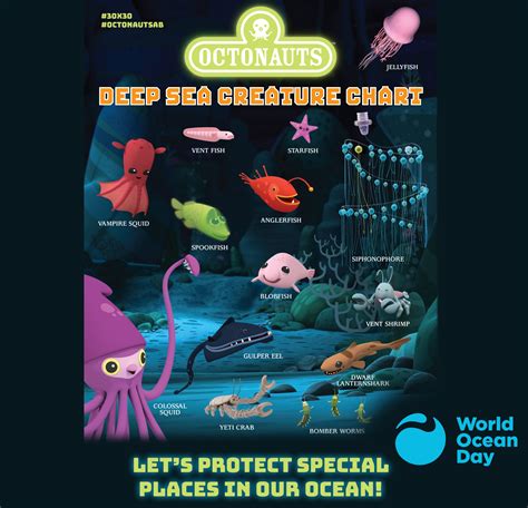 Octonauts Square - Deep Sea Creatures - World Ocean Day