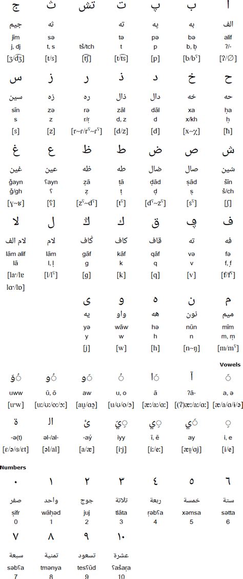 Moroccan Arabic language