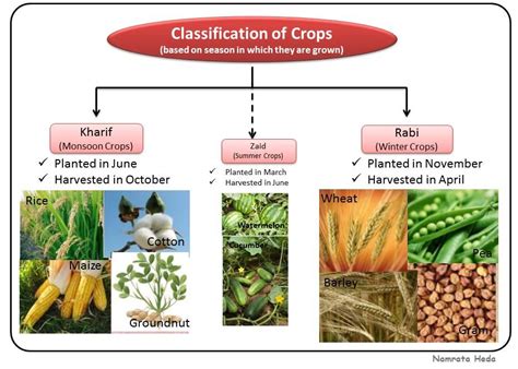 B for Biology: Crop Production and Management (Part I)