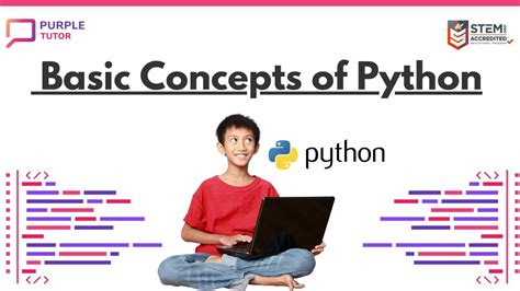 Basic Concepts of Python for Beginners - PurpleTutor