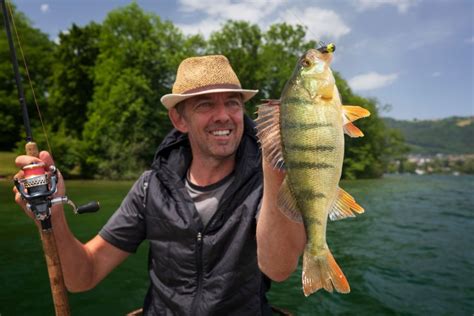 Perch Fishing Tips - Expert Techniques and Tools You Need to Know