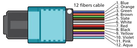 Structure of MPO Connectors and cables and understanding MPO Polarity