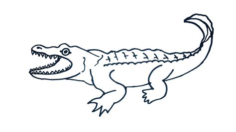 Baby Crocodile Drawing at GetDrawings | Free download