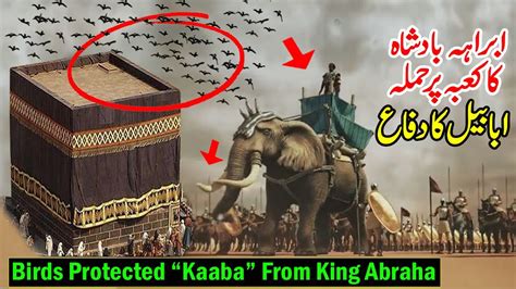 Birds Protected the Kaaba From King Abraha | Story of King Abraha ...