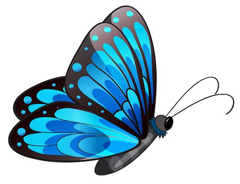 Free Butterfly Png Transparent, Download Free Butterfly Png Transparent ...