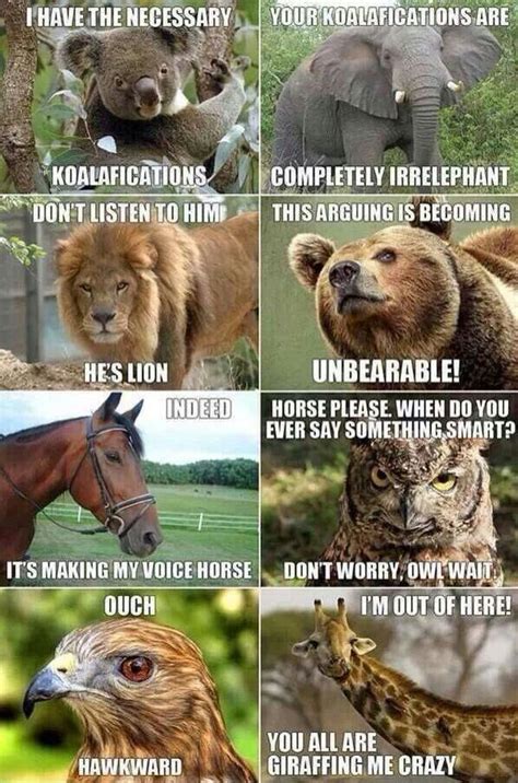 Nothing like good old animal puns : r/puns