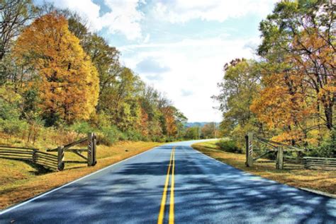 Fall Foliage on the Scenic Natchez Trace Parkway