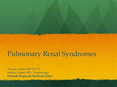 Pulmonary Renal Syndromes