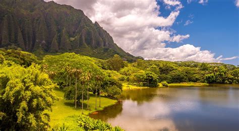 Guide to the Botanical Gardens of Hawaii - Next Vacay