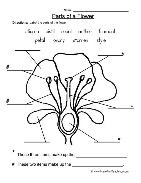 Flowers - Parts of a Plant Worksheet 1