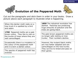 Peppered Moth Simulation