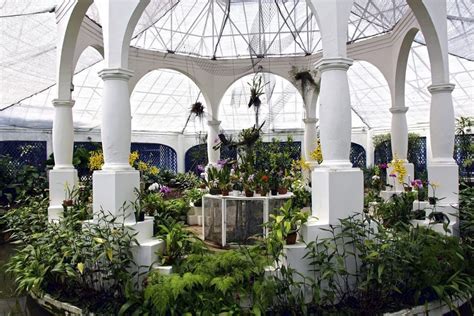 Botanical Gardens Rio Opening Times | Fasci Garden