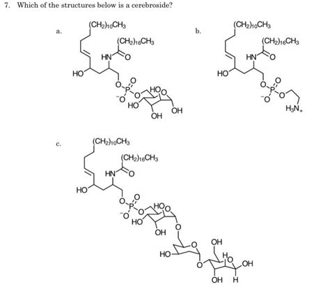 Solved 7. Which of the structures below is a cerebroside? | Chegg.com