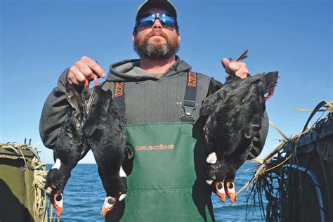 Big Water, Big Waterfowl Action: Sea Duck Hunting on Chesape - Game & Fish