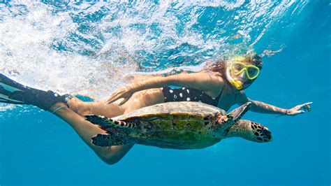 The Best Time To Visit The Galápagos Islands To Snorkel With Turtles