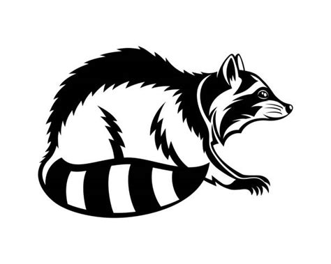 Racoon Tattoo Silhouette Stock Photos, Pictures & Royalty-Free Images ...