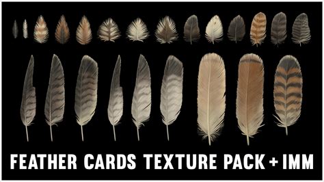 ArtStation - Red-Tailed Hawk Feathers Texture Pack + IMM | Game Assets