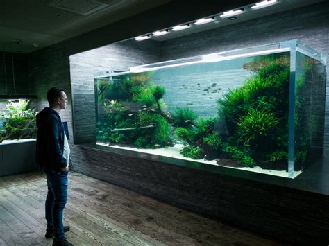 One of Takashi Amano Aquascape at Sumida Aquarium in Japan : Aquascape