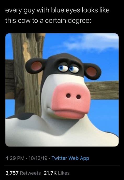 Every guy with blue eyes looks like this cow to a certain degree: 4129 ...