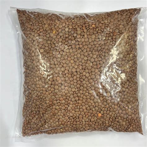 LENTIL SEEDS – Douty African Online