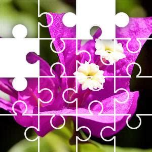 Daily Jigsaw Puzzle - Puzzle of the Day - JigZone.com