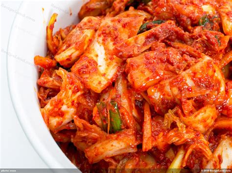 Authentic Korean Kimchi Recipe