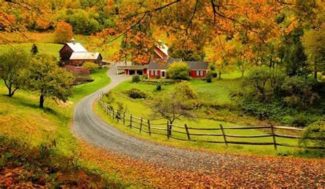 A photographer's guide to perfecting your fall foliage snaps | Woodstock VT