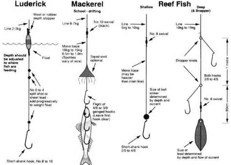 Luderick, Mackerel and reef fishing rigs. | Fishing rigs, Fishing tips ...