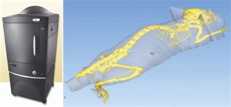 PerkinElmer IVIS Spectrum | 3D: Animal to Cell Imaging Facility3D ...