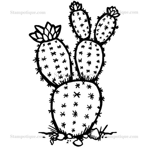 Cactus Line Drawing at GetDrawings | Free download