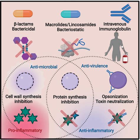 Frontiers | Antibiotic Treatment, Mechanisms for Failure, and ...