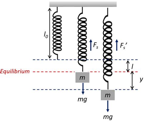 Vertical Spring-Mass System. | Download Scientific Diagram