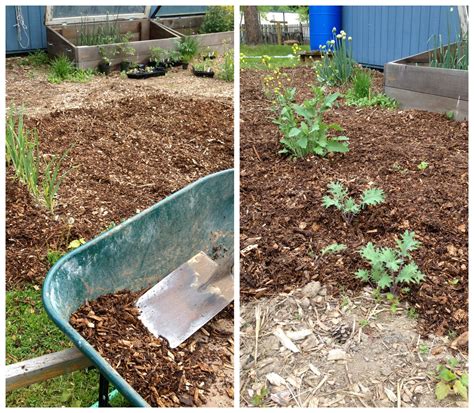 Mulching the Spring Vegetable Garden - Frugal Upstate